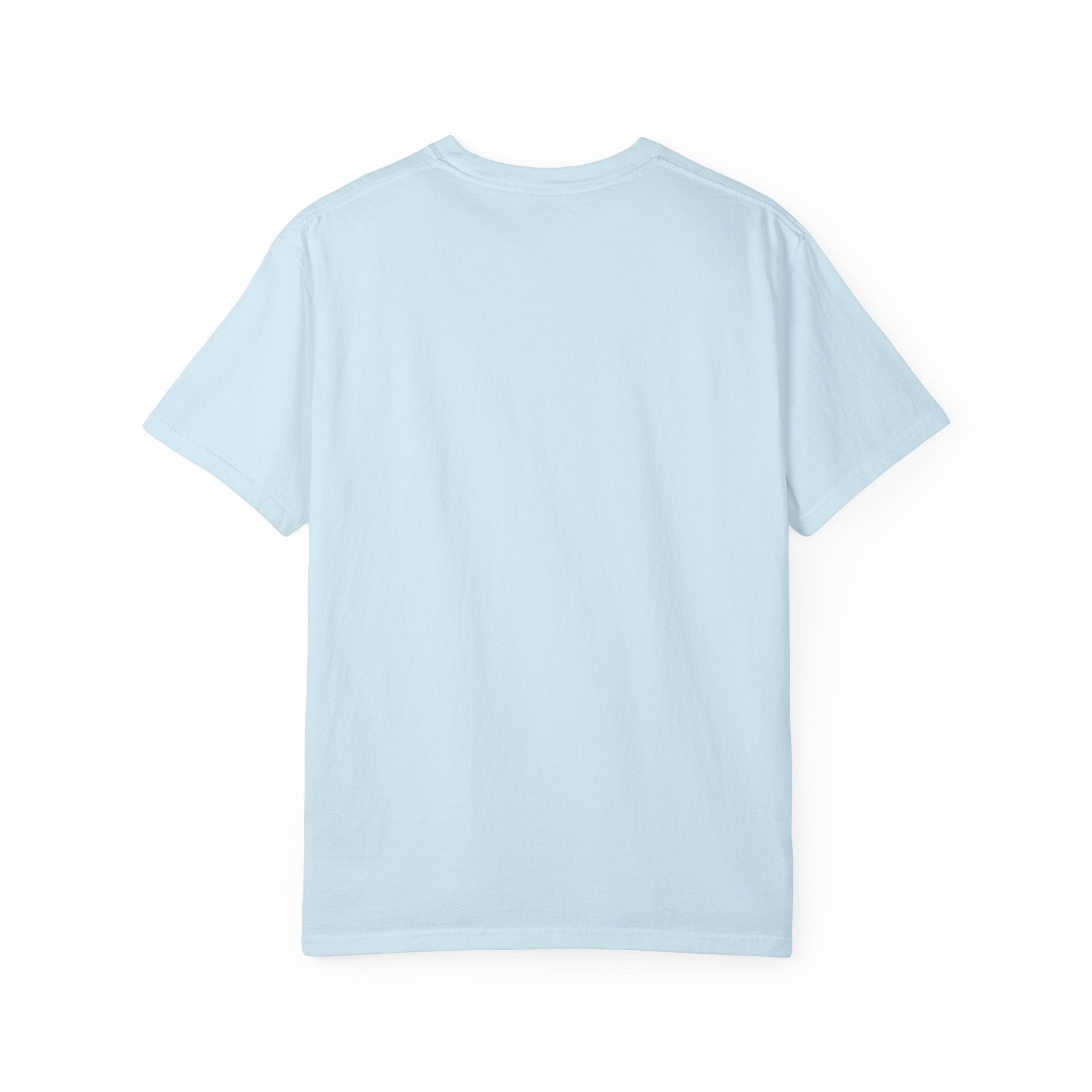 Pitt Lightning Graphic T-Shirt Unisex Style 2 B