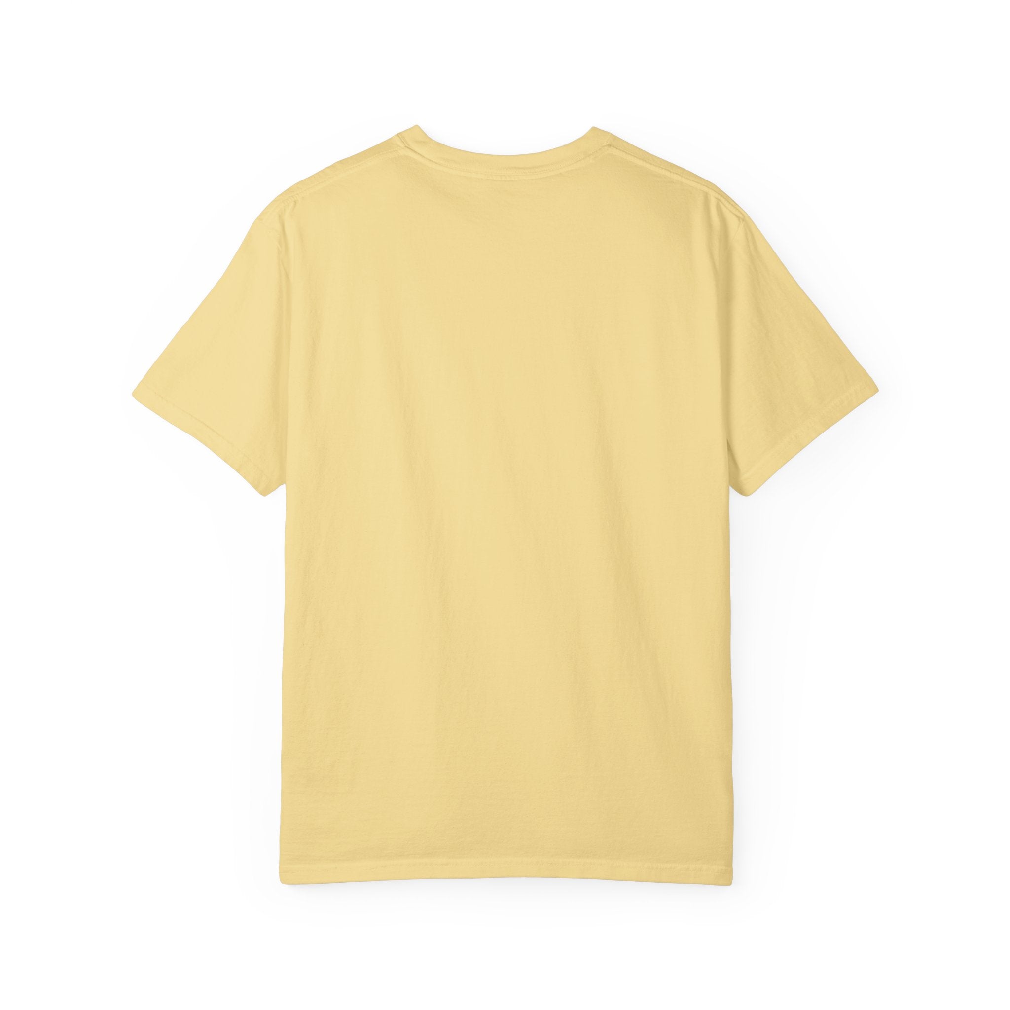 Pitt Lightning Graphic T-Shirt Unisex Style 2 B