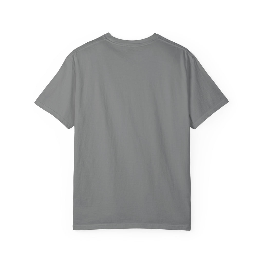 Pitt Lightning Graphic T-Shirt Unisex Style 2 B