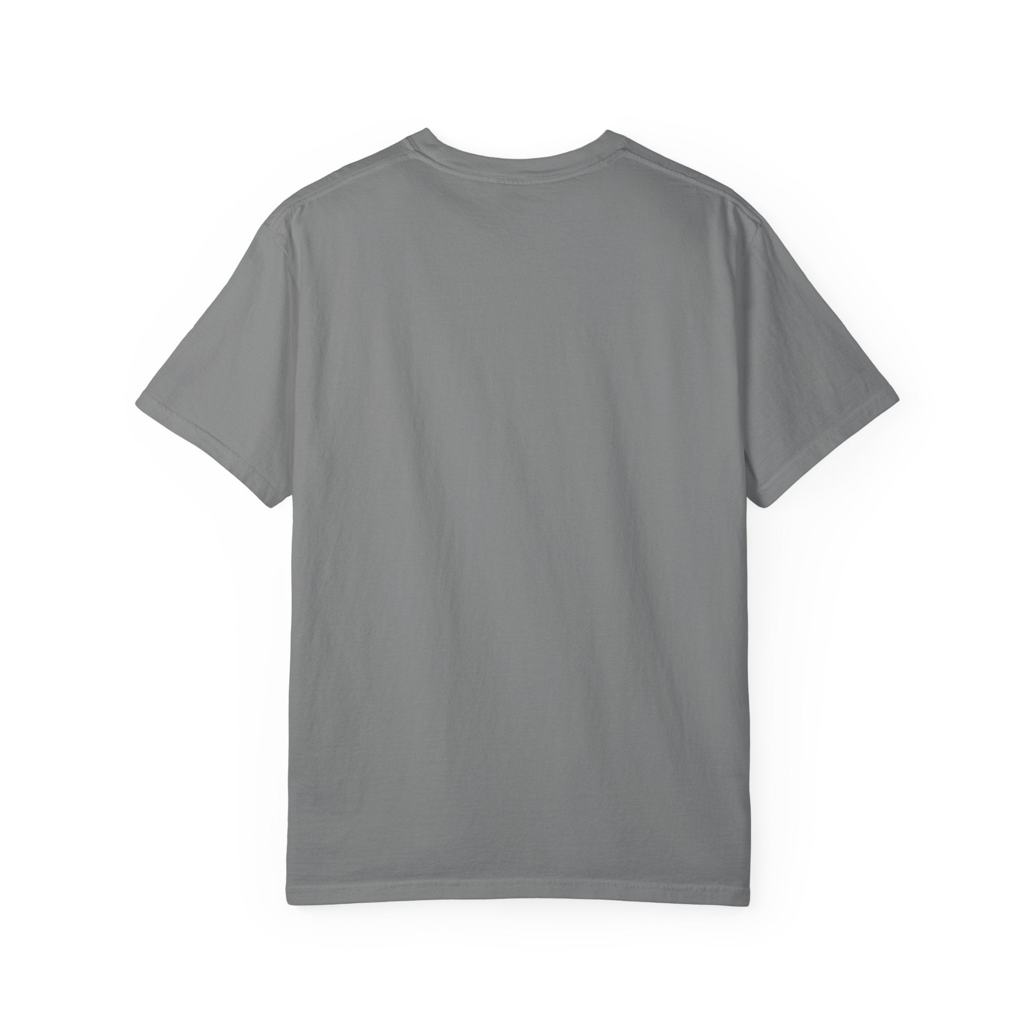 Pitt Lightning Graphic T-Shirt Unisex Style 2 B