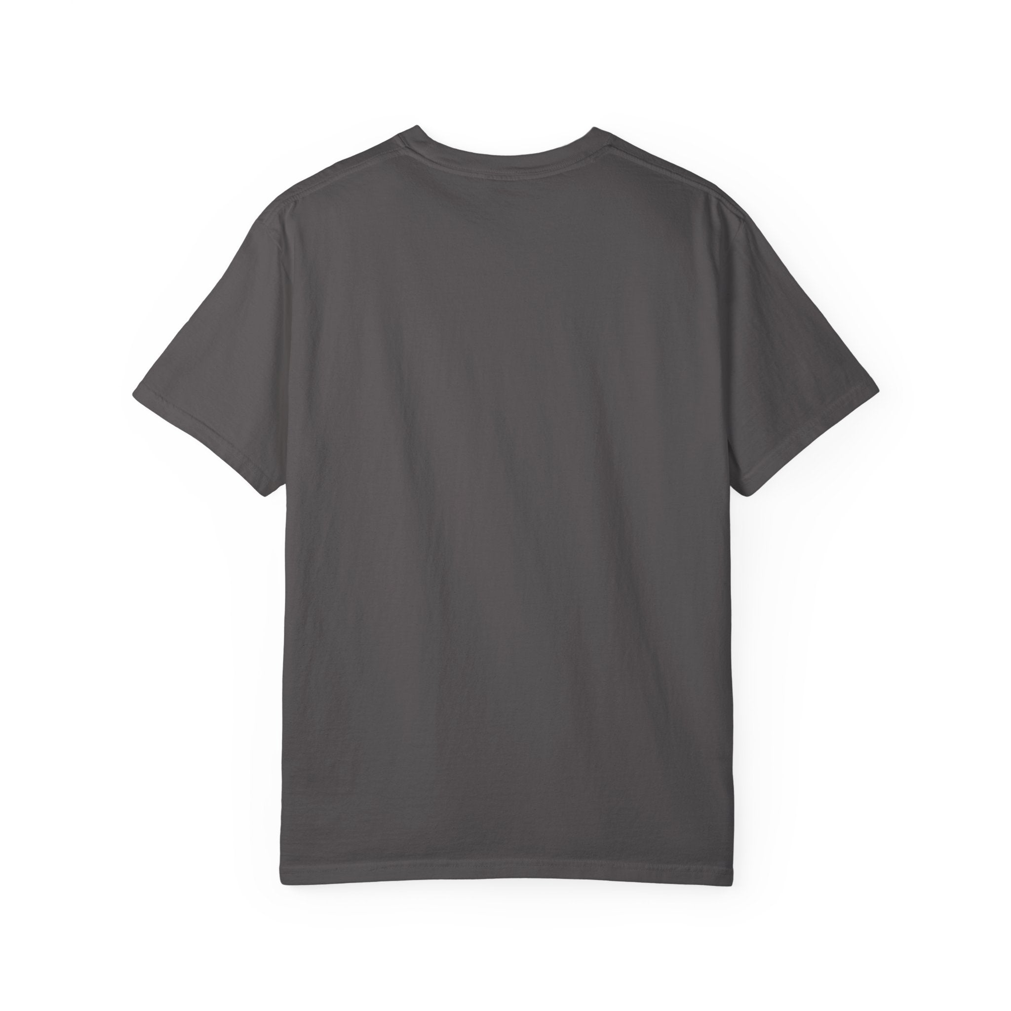 Pitt Lightning Graphic T-Shirt Unisex Style 2 B