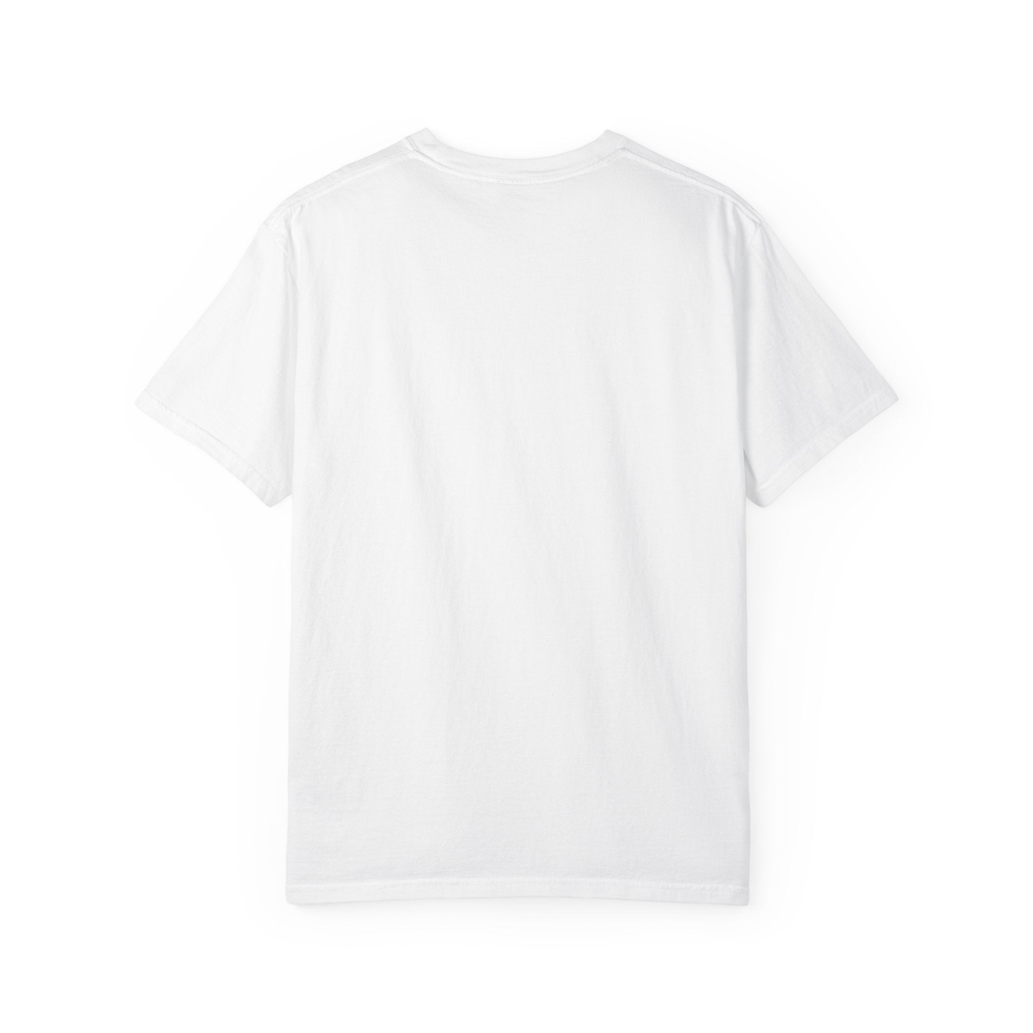Pitt Lightning Graphic T-Shirt Unisex Style 2 B