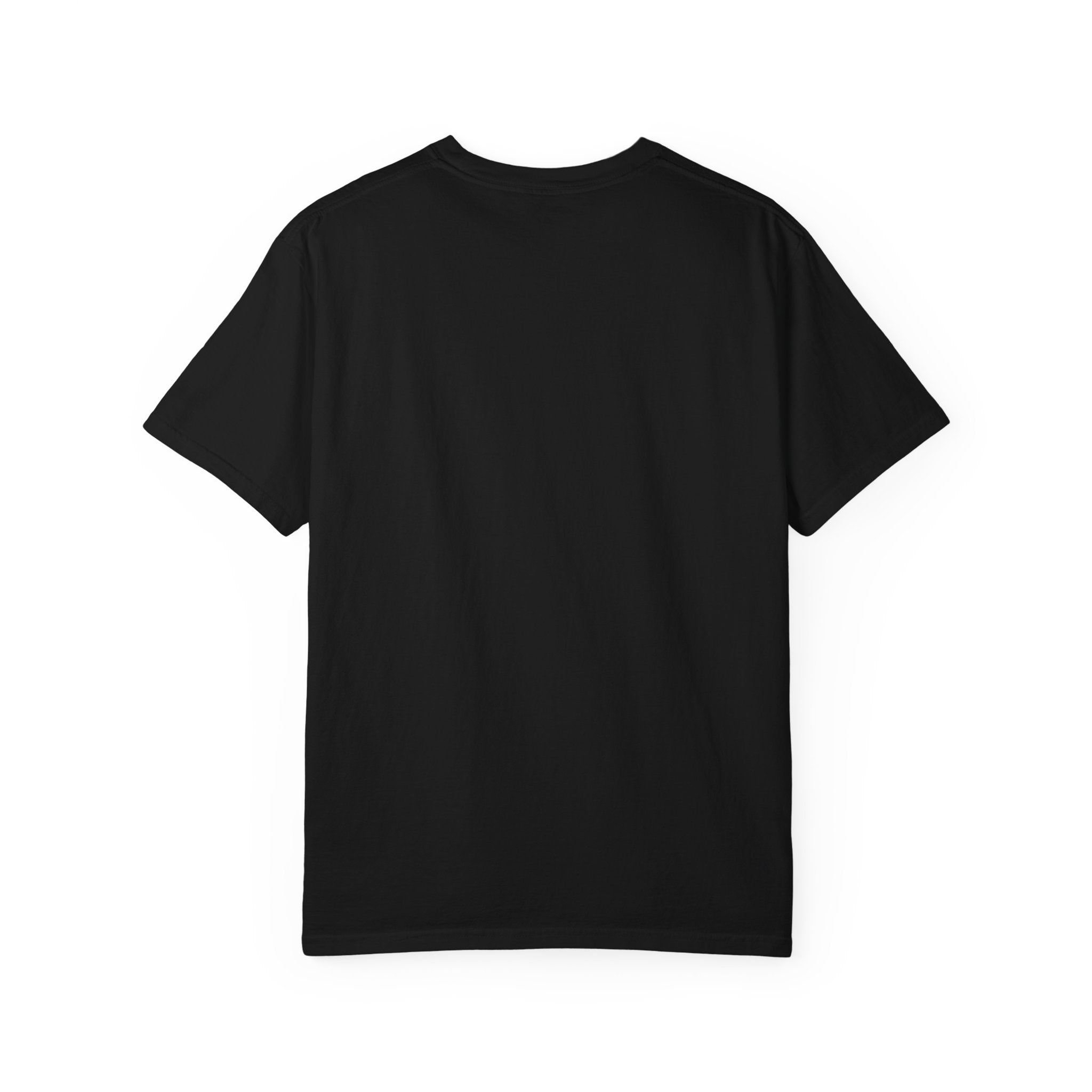 Pitt Lightning Graphic T-Shirt Unisex Style 2 B